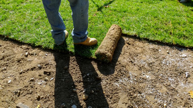 Sod Installation Service