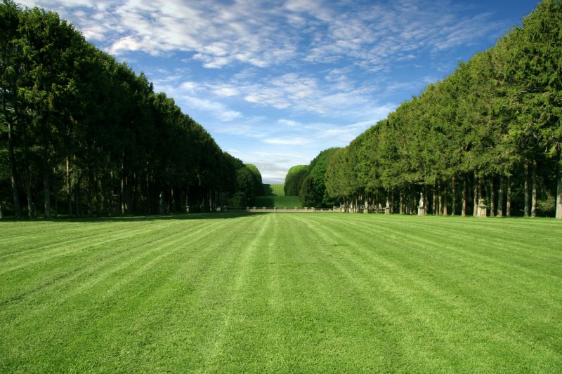 Lawn Installation in Honolulu, HI