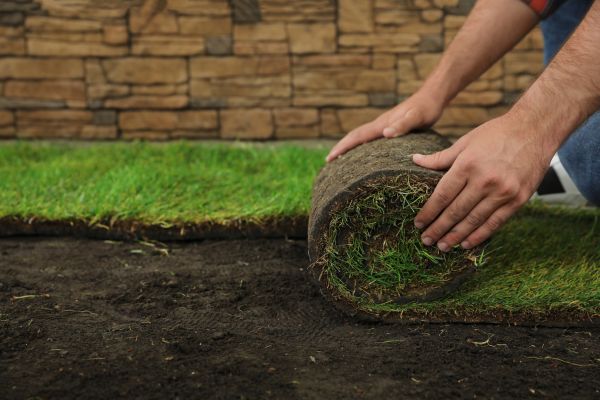 Sod Planting