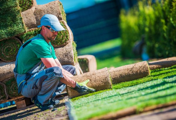 Turf Grass Installation