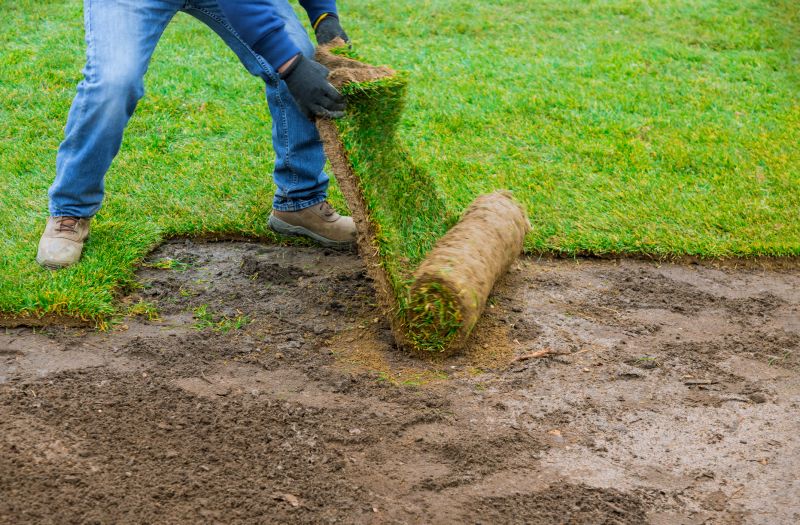 Bluegrass Sod Installation in Aiken, SC