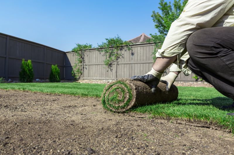 Bluegrass Sod Installation in Aiken, SC