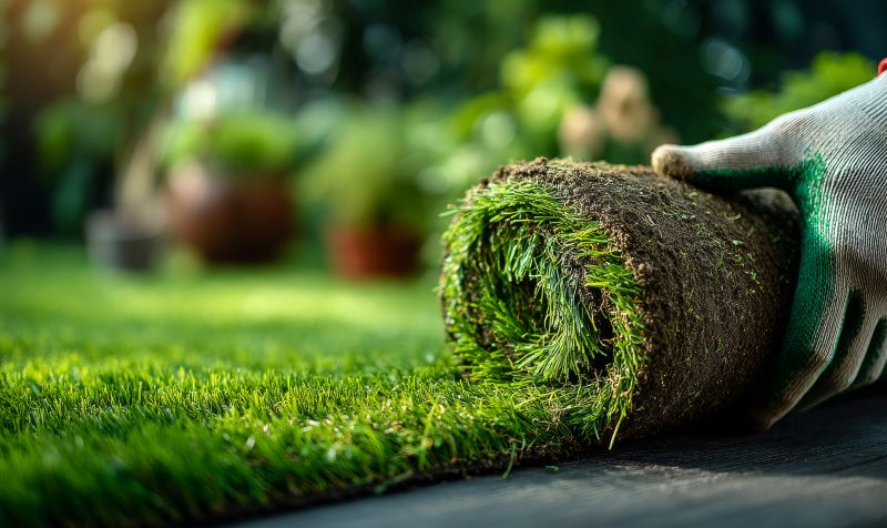 Commercial Sod Installation in Ventura County, CA