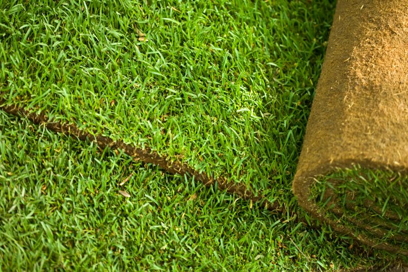 Commercial Sodding in Ventura County, CA