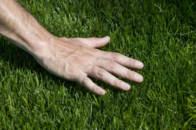Grass Installation in Ventura County, CA