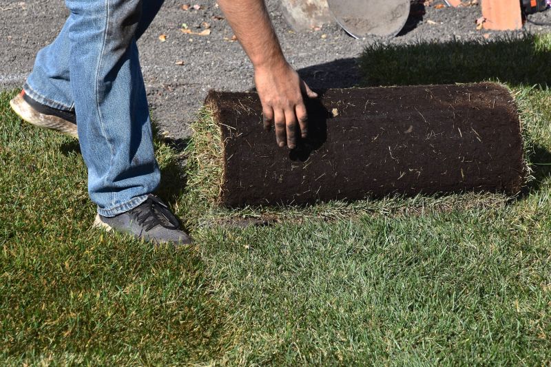 Lawn Sodding in Ventura County, CA