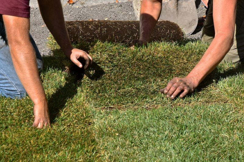 Lawn Sodding in Aiken, SC