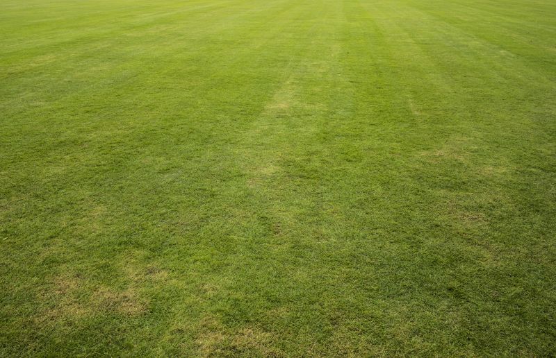 Lawn Sodding in Aiken, SC