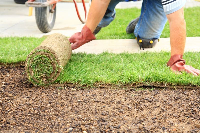 Ryegrass Sod Installation in Aiken, SC