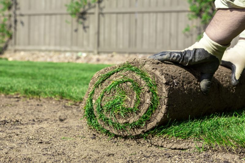 Sod Installation in Aiken, SC