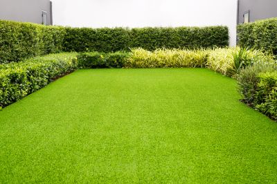 Finished Lawn