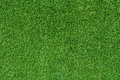 Lush Green Turf