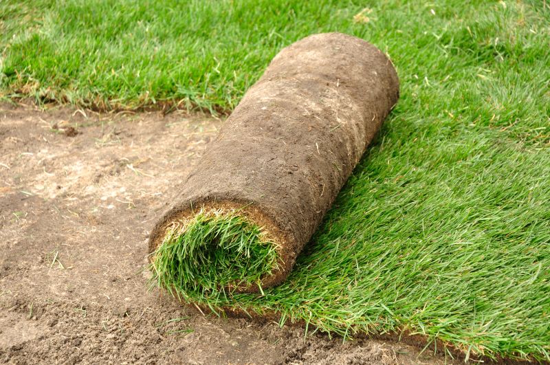 Sod Laying Service