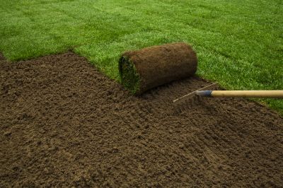 Sod Replacement in Aiken, SC