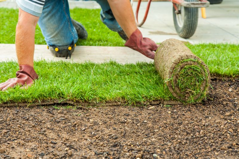 Sodding Service in Ventura County, CA