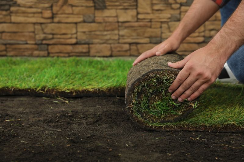 Turfing Service in Ventura County, CA