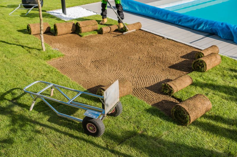 Yard Sod Replacement in Rockwall, TX